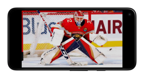 Российские хоккеисты в завершившемся сезоне NHL