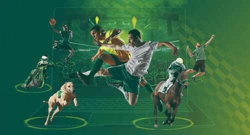 Виртуальные виды спорта